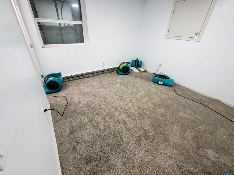 Before and After Carpet Restoration