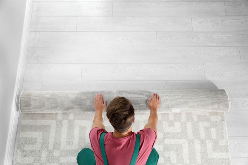 Products For Carpet Service in use