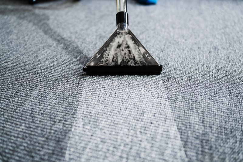 Professional Carpet Cleaning in Action
